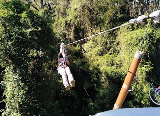 chile/araucania-region/attraction/bosque-aventura-pucon