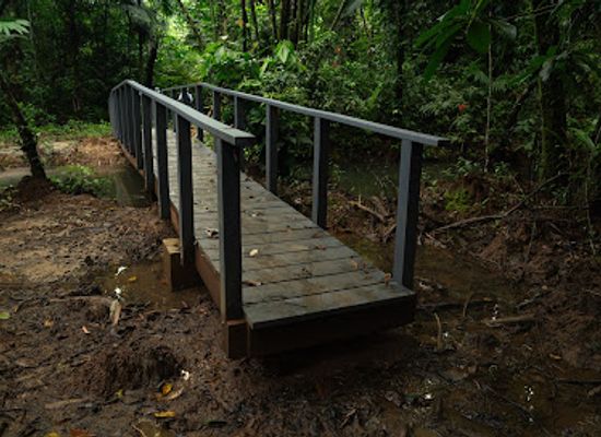 palau/ngeruangel/attraction/orsoulkesol-waterfall-entry-point