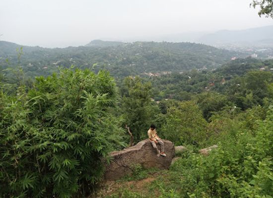 india/guwahati/attraction/view-point-sak