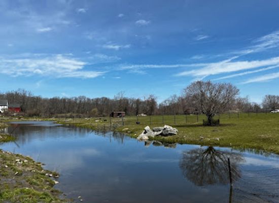 connecticut/central-connecticut/attraction/action-wildlife-foundation