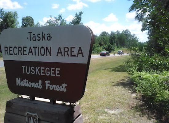 alabama/black-belt/attraction/tuskegee-national-forest