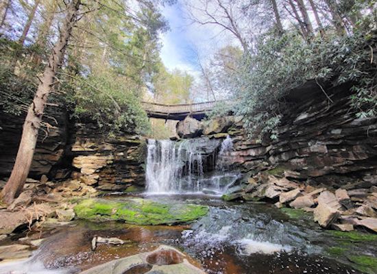 west-virginia/blackwater-falls-state-park/attraction/elakala-falls-trail