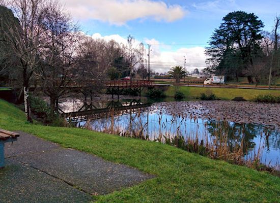 chile/valdivia/attraction/laguna-de-los-patos