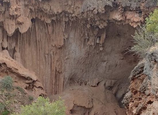 arizona/grand-canyon/attraction/bearizona-wildlife-park