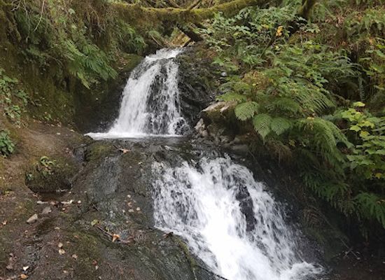 washington/columbia-river-gorge/attraction/shepperd-s-dell-falls