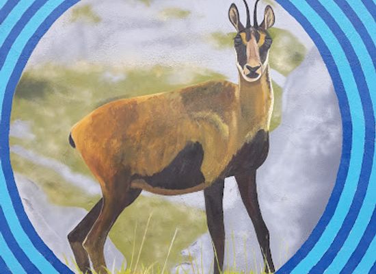 spain/huesca/attraction/mural-animales-del-pirineo