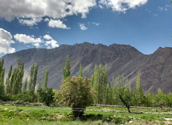india/ladakh/attraction/nubra-village