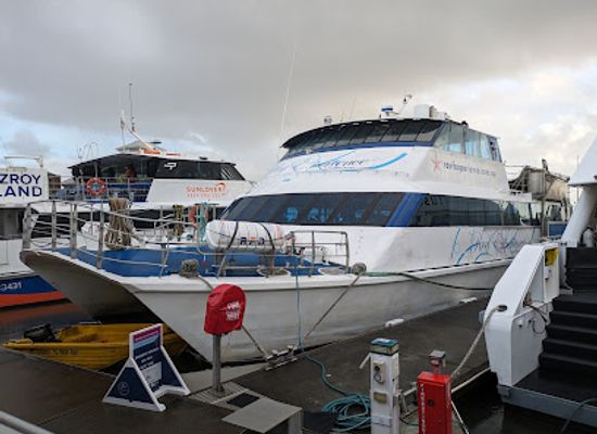 australia/cairns/attraction/finger-a-8-reef-experience