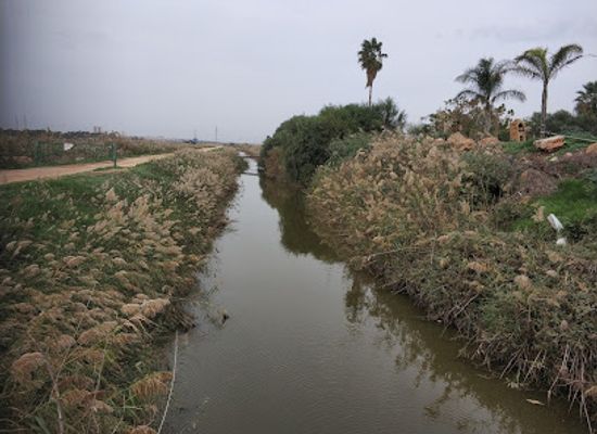 israel/northern-district/attraction/ein-nimfit-reserve