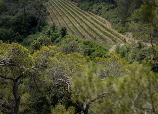 spain/catalonia/attraction/pares-balta-winery