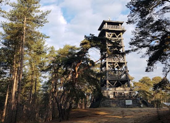 belgium/kempense-heuvelrug/attraction/toeristentoren-herentals