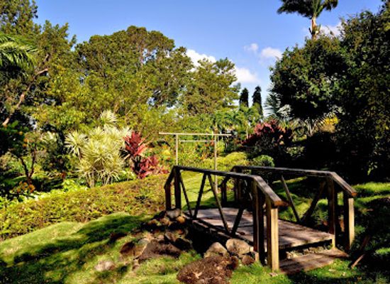grenada/guava/attraction/sunnyside-garden