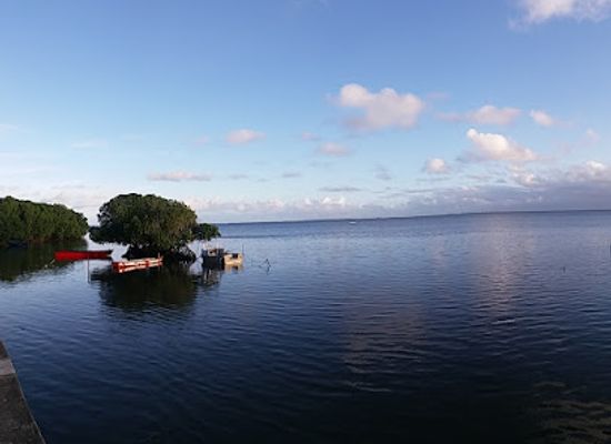 fiji/lau-islands/attraction/albert-park