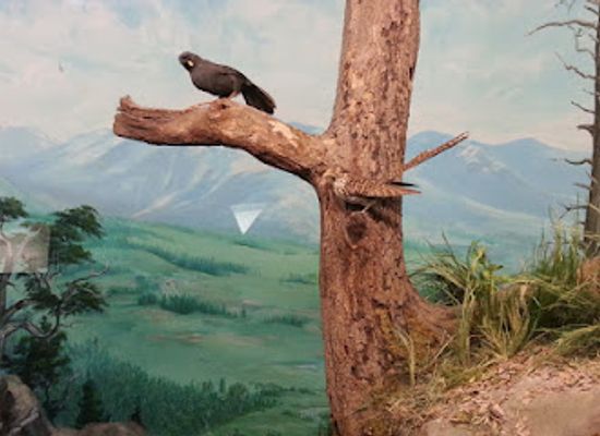 delaware/the-brandywine-valley/attraction/delaware-museum-of-nature-science