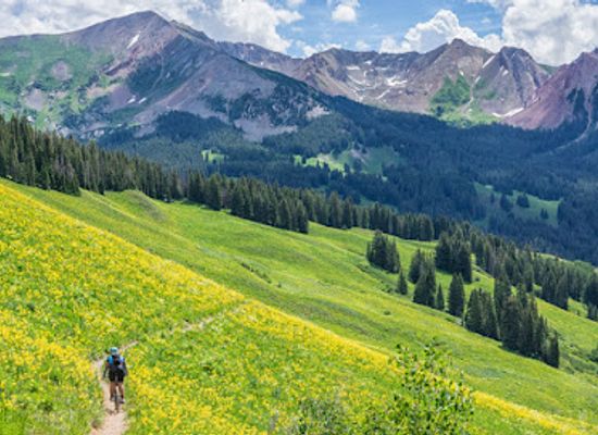colorado/elk-mountains/attraction/401-trail