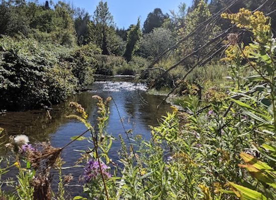 canada/southwestern-ontario/attraction/hockley-valley-provincial-nature-reserve