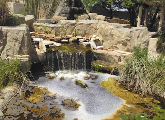 new-mexico/carlsbad/attraction/living-desert-zoo-gardens-state-park