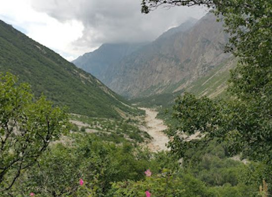 india/uttarakhand/attraction/gangotri-national-park