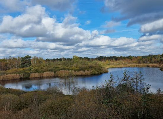 belgium/antwerpse-kempen/attraction/the-visitor-center-landscape-liereman