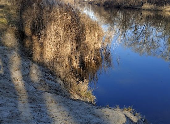 ukraine/poltava-region/attraction/zelenyy-ostriv