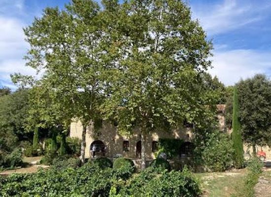 france/provence/attraction/chateau-la-canorgue