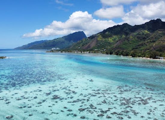 french-polynesia/moorea/attraction/alex-lagoon-tours