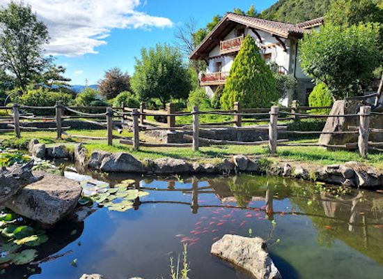 spain/basque-country/attraction/refugio-de-fauna-basondo-babeslekua