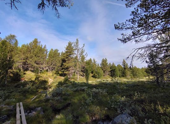 norway/buskerud/attraction/sanderstolen-hikking