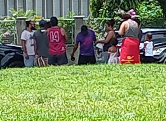 fiji/central-division/attraction/vuyasawa-park