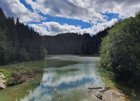 romania/dambovita/attraction/lacul-scropoasa