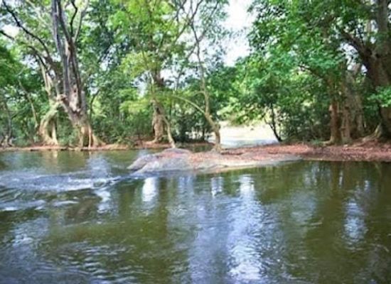 sri-lanka/wilpattu-national-park/attraction/neela-bamma-fence-project