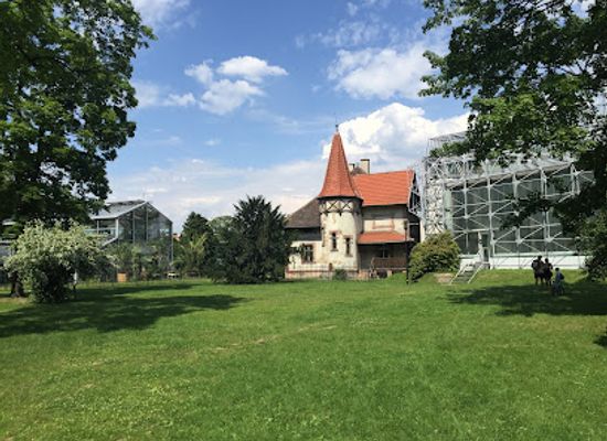 poland/gliwice/attraction/park-im-fryderyka-chopina-w-gliwicach