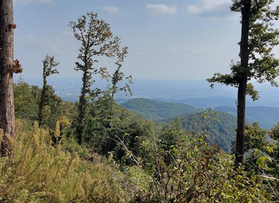croatia/medvednica-mountain/attraction/medvednica-mountain-trail-9
