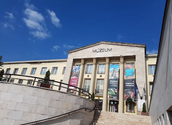 hungary/northern-hungary/attraction/pannon-sea-museum