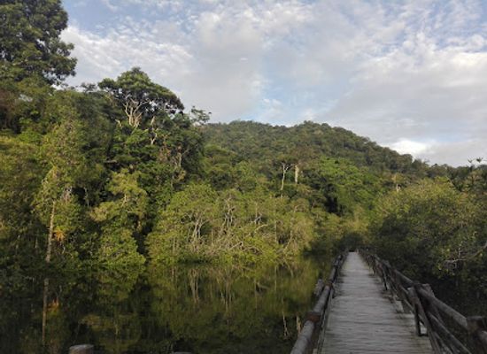 colombia/choco-biogeographic-region/attraction/utria-national-park