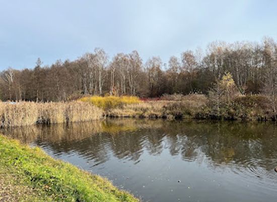 poland/holy-cross-mountains/attraction/bird-island