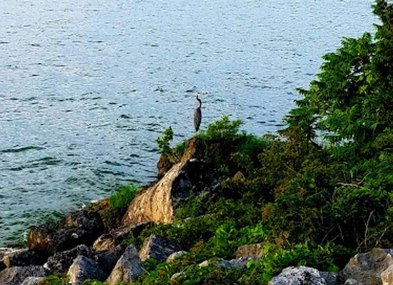 ohio/lake-erie-islands/attraction/catawba-island-nature-preserve