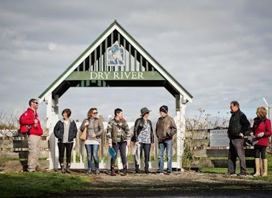 new-zealand/manawatu-wanganui/attraction/martinborough-wine-walks