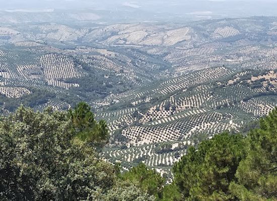 spain/cazorla-natural-park/attraction/puerto-de-las-palomas