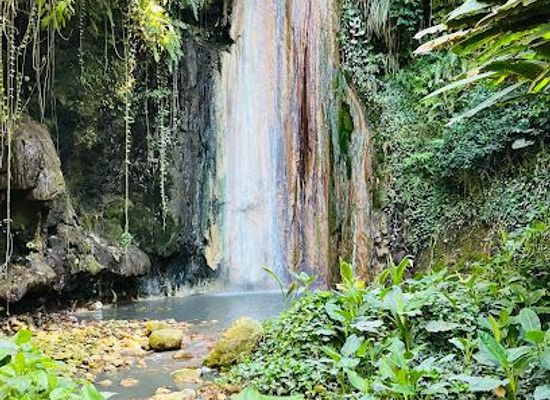 saint-lucia/malgretoute/attraction/diamond-falls-botanical-gardens-mineral-baths