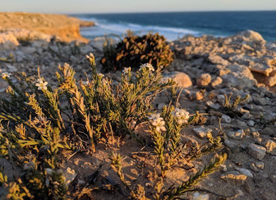 australia/eyre-peninsula/attraction/needle-eye-lookout