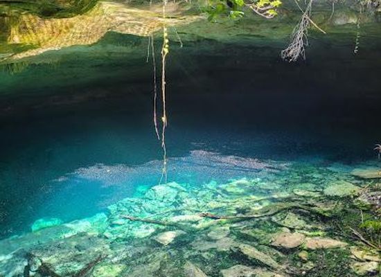 the-bahamas/freeport/attraction/lucayan-national-park