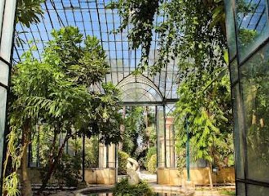 italy/palermo/attraction/orto-botanico-di-palermo