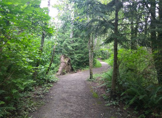 washington/whidbey-island/attraction/narbeck-wetland-sanctuary