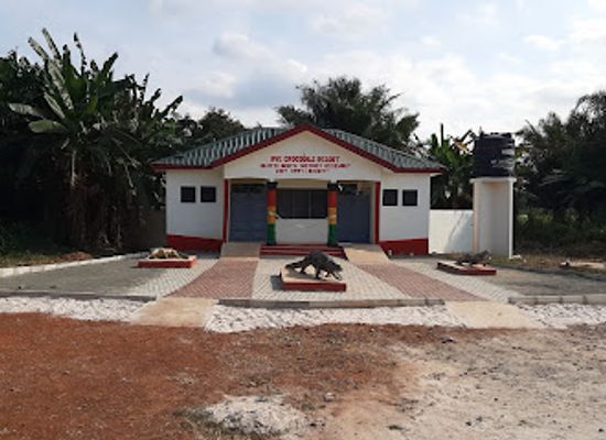 ghana/northern-region/attraction/ave-crocodile-resort