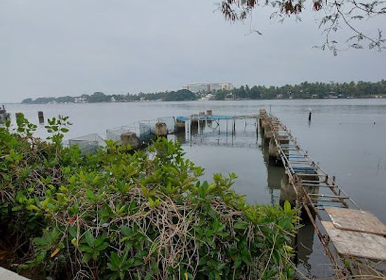 india/kochi/attraction/view-of-kochi-lake