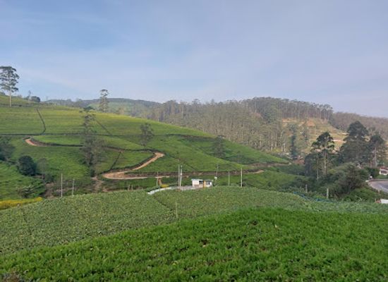 sri-lanka/nuwara-eliya/attraction/moon-plains