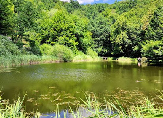 romania/harghita/attraction/lacul-paraschiva