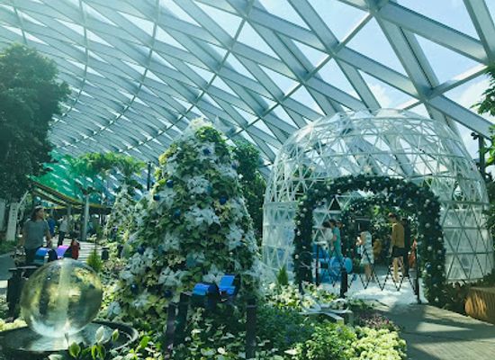 singapore/changi/attraction/cactus-garden
