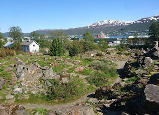 norway/troms/attraction/arctic-alpine-botanic-garden